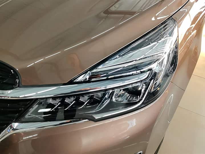 Фото 5 - Buick GL8 ES