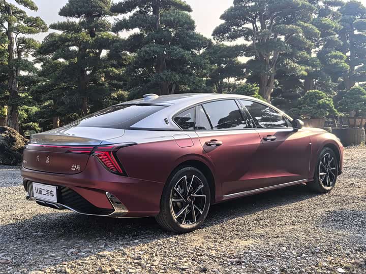 Фото 6 - Hongqi H6