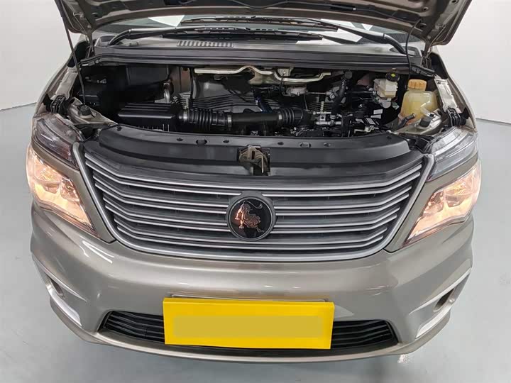 Фото 6 - Dongfeng Forthing Lingzhi M5