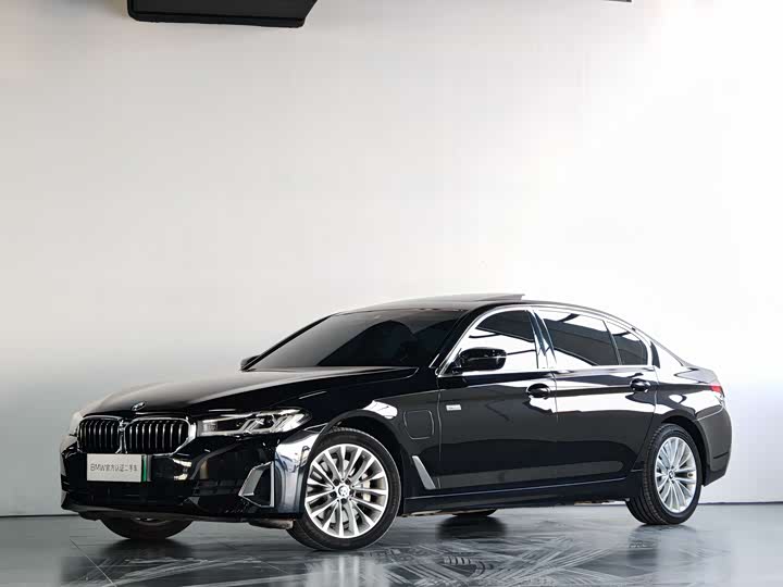 Фото 1 - BMW 5 Series Hybrid