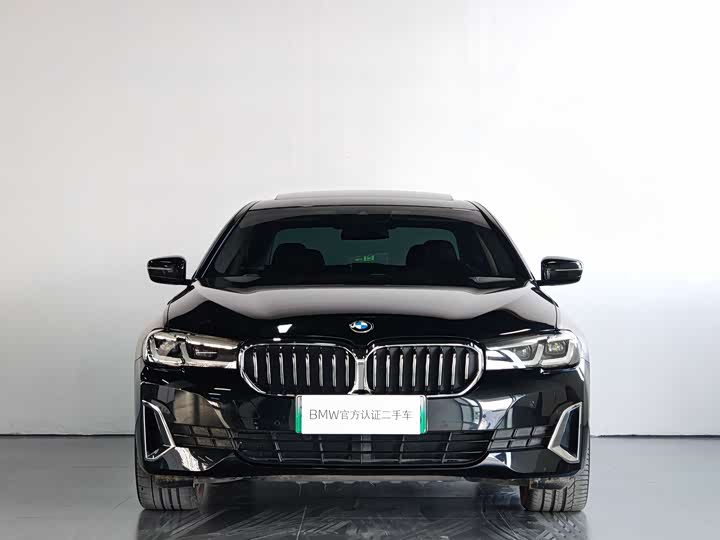 Фото 2 - BMW 5 Series Hybrid
