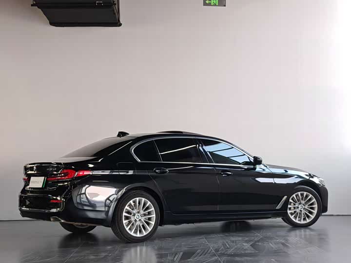 Фото 4 - BMW 5 Series Hybrid