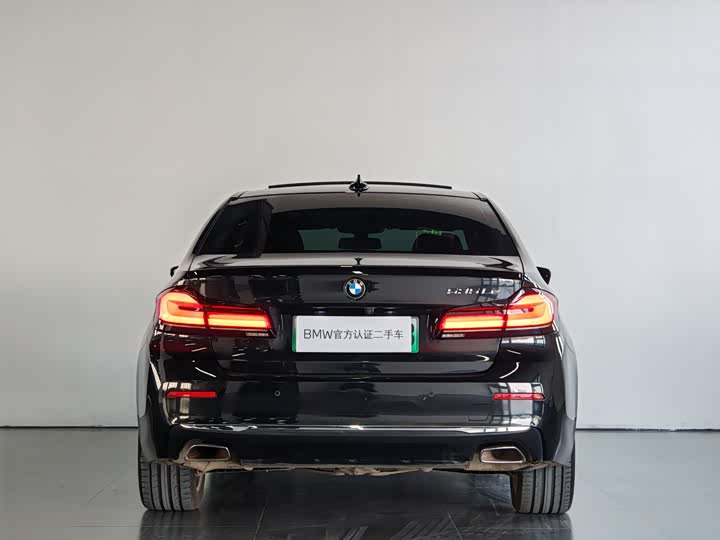 Фото 5 - BMW 5 Series Hybrid