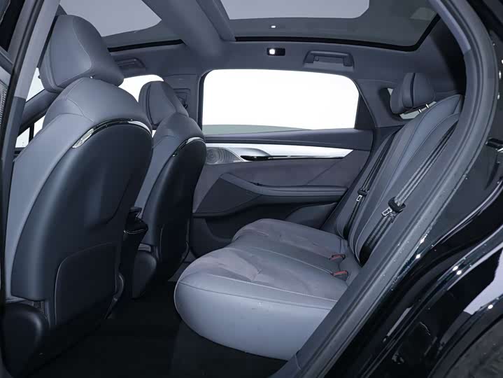 Фото 8 - Voyah Passion