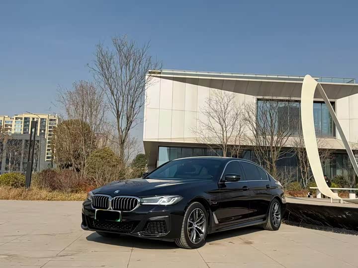 Фото 1 - BMW 5 Series Hybrid