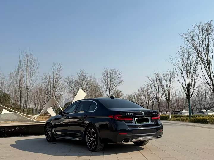 Фото 7 - BMW 5 Series Hybrid