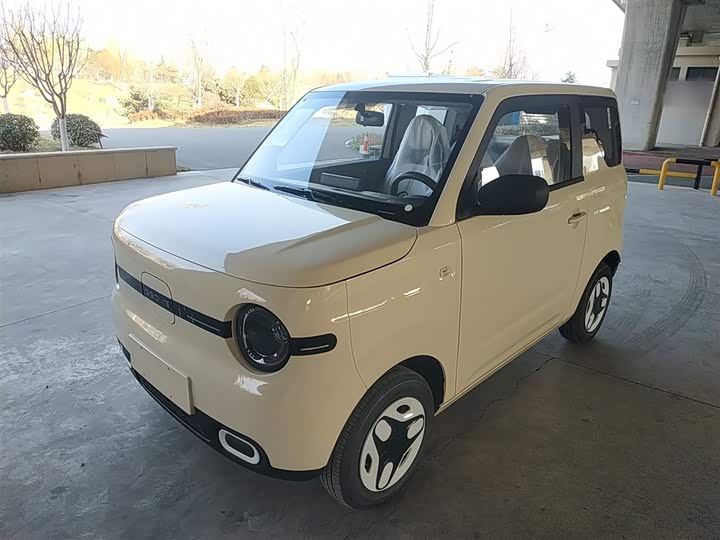 Фото 2 - Geely Galaxy Panda Mini