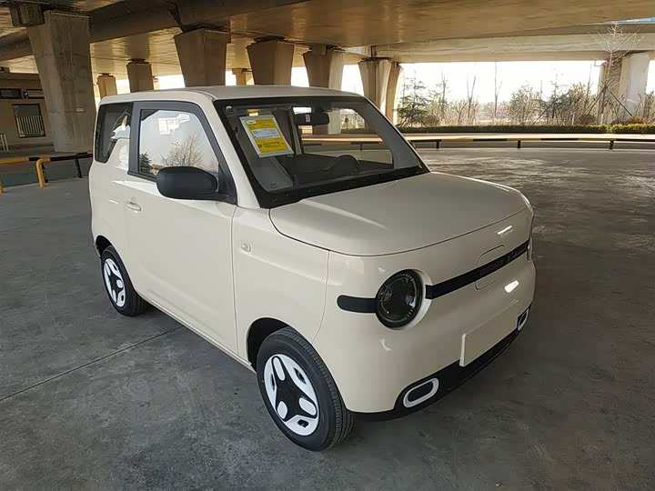 Фото 4 - Geely Galaxy Panda Mini