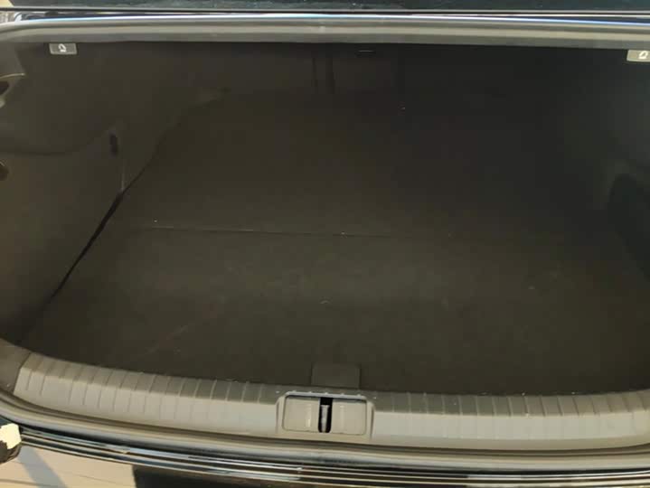 Фото 4 - Volkswagen Magotan GTE Hybrid