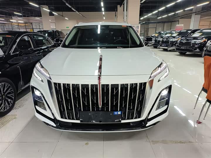 Фото 3 - Hongqi HS3 Hybrid