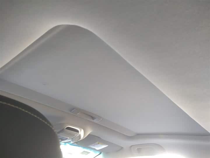 Фото 8 - Geely Binrui