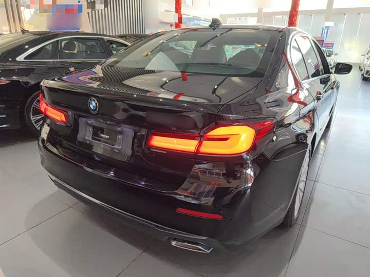 Фото 7 - BMW 5 Series Hybrid