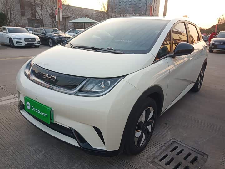Фото 1 - BYD Dolphin