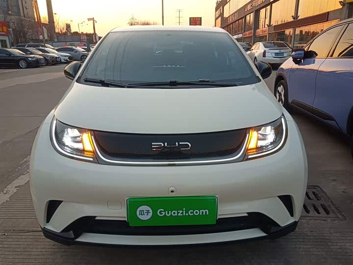 Фото 3 - BYD Dolphin