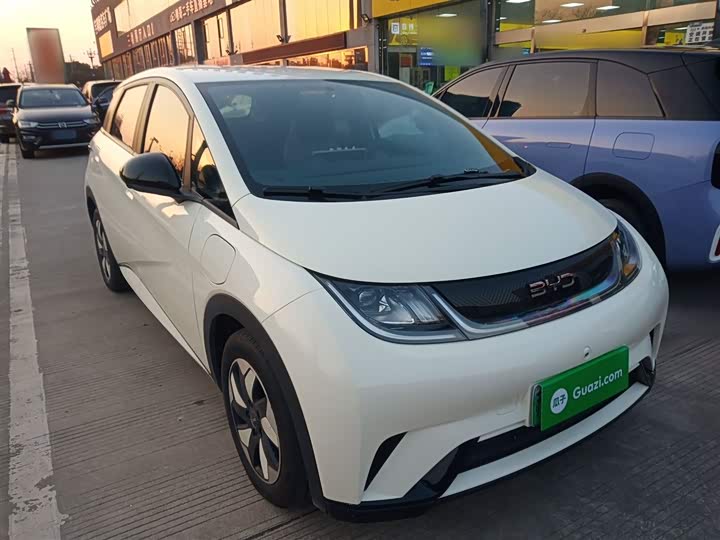 Фото 4 - BYD Dolphin