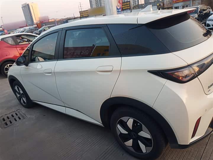 Фото 5 - BYD Dolphin