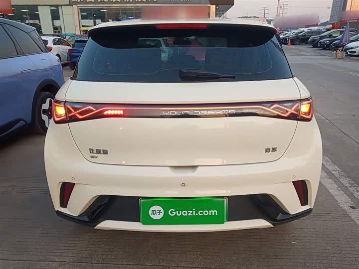 Фото 6 - BYD Dolphin