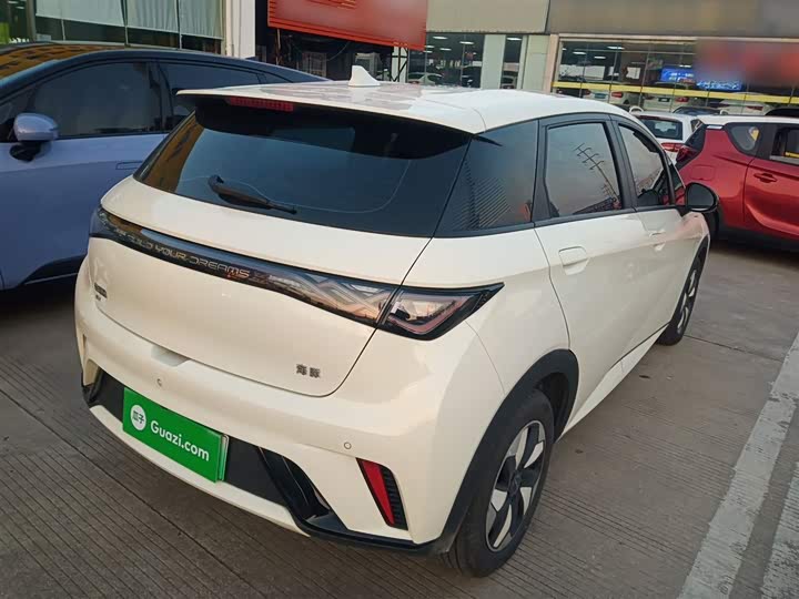 Фото 7 - BYD Dolphin