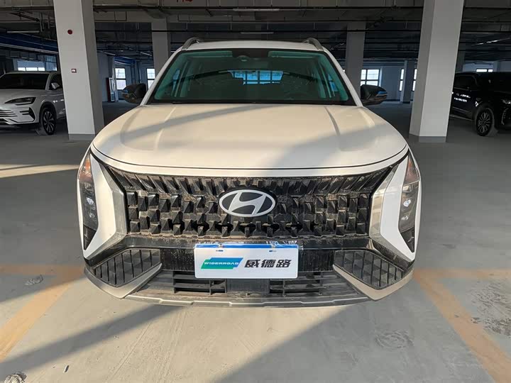 Фото 2 - Hyundai ix35 (Mufasa)