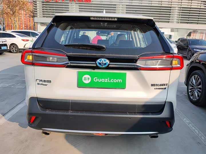 Фото 6 - Toyota Wildlander