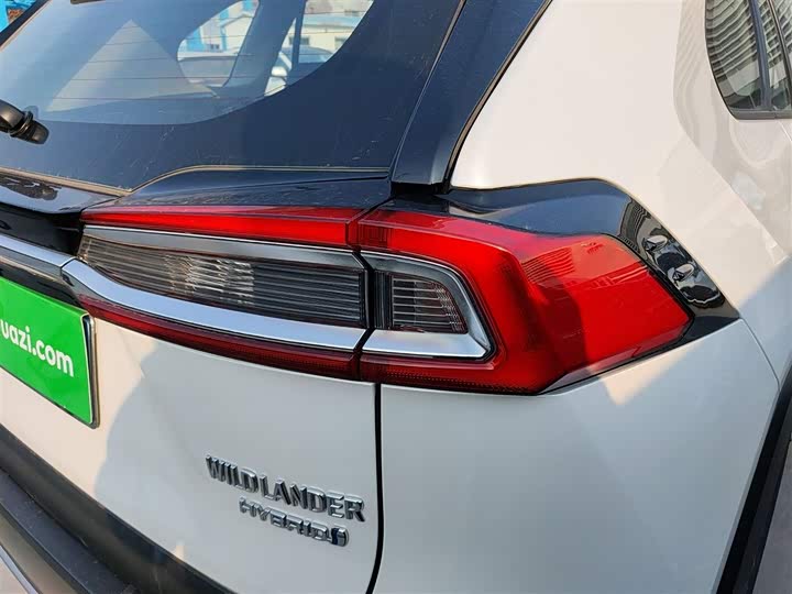 Фото 8 - Toyota Wildlander