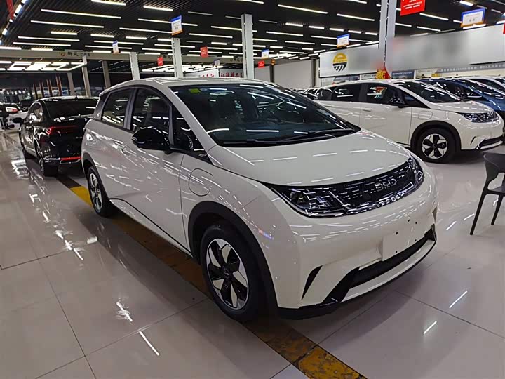 Фото 4 - BYD Dolphin