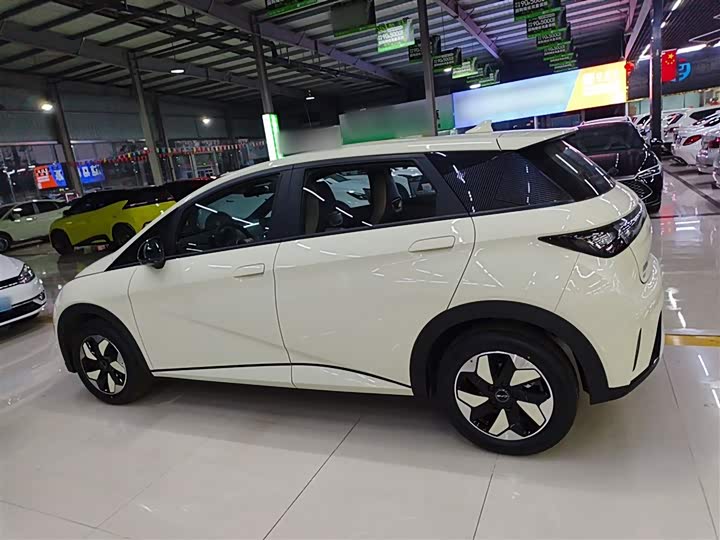 Фото 5 - BYD Dolphin