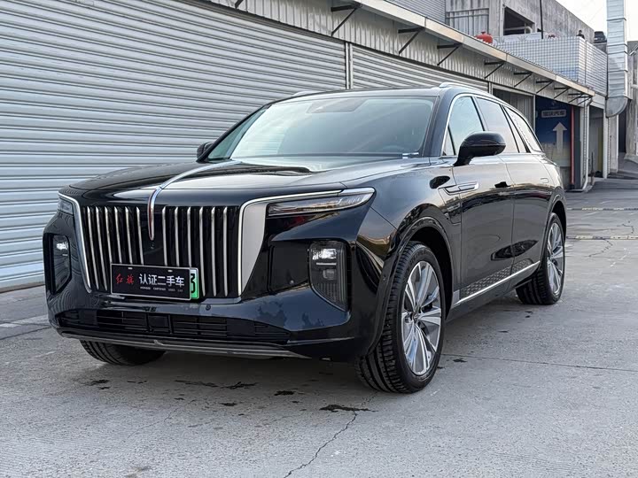 Фото 1 - Hongqi E-HS9