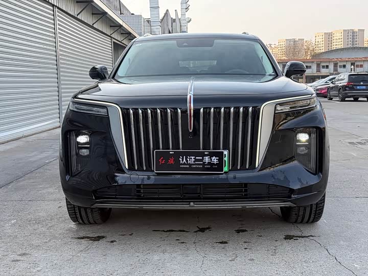 Фото 2 - Hongqi E-HS9