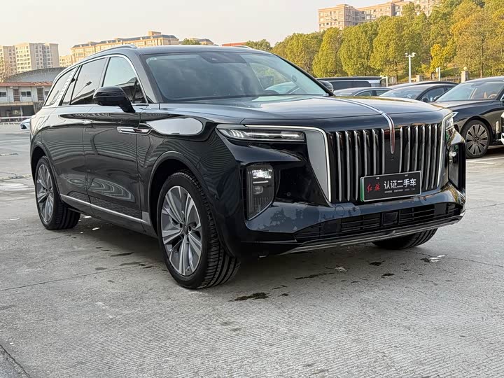 Фото 3 - Hongqi E-HS9