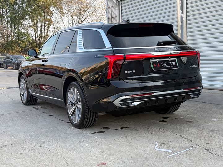 Фото 6 - Hongqi E-HS9