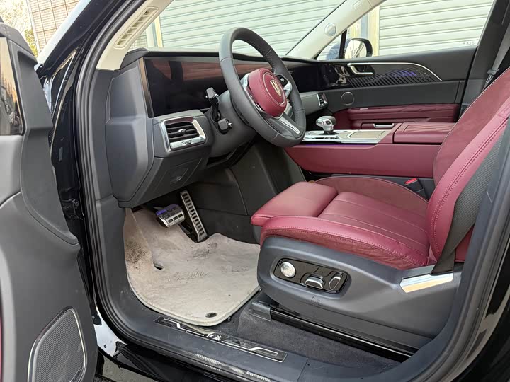 Фото 7 - Hongqi E-HS9