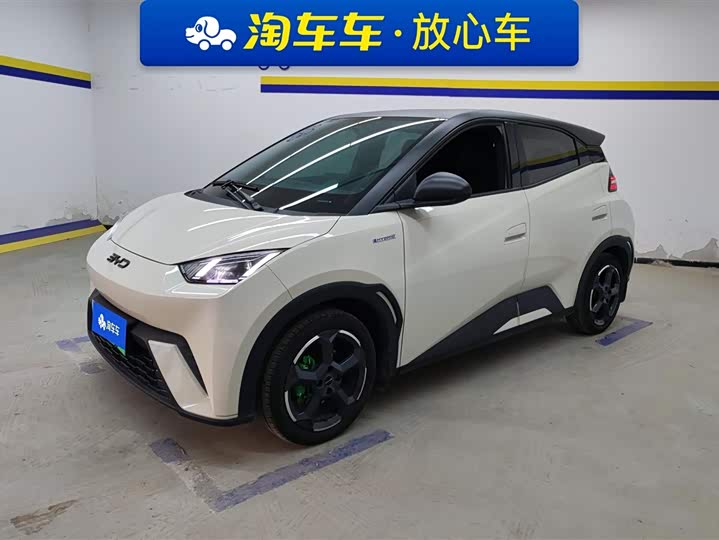 Фото 1 - BYD Seagull