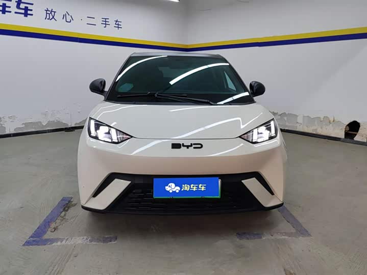 Фото 2 - BYD Seagull