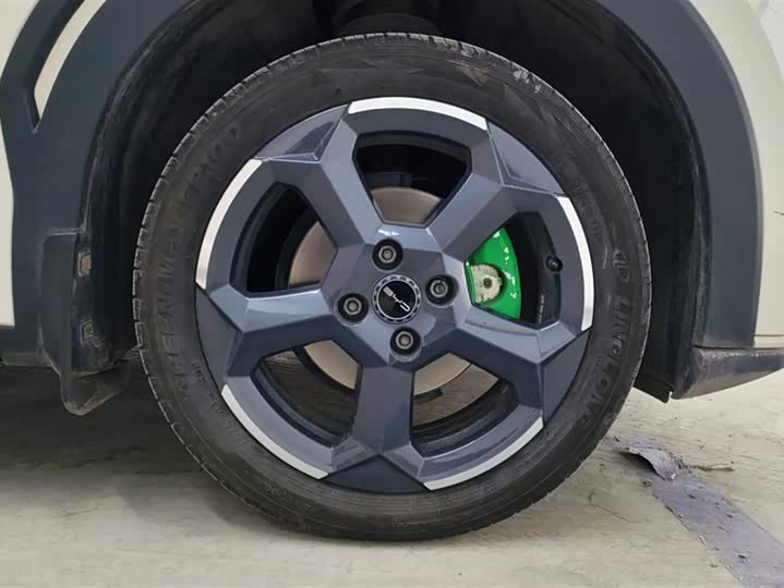 Фото 6 - BYD Seagull