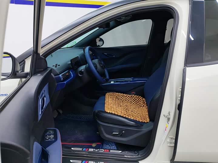 Фото 9 - BYD Seagull