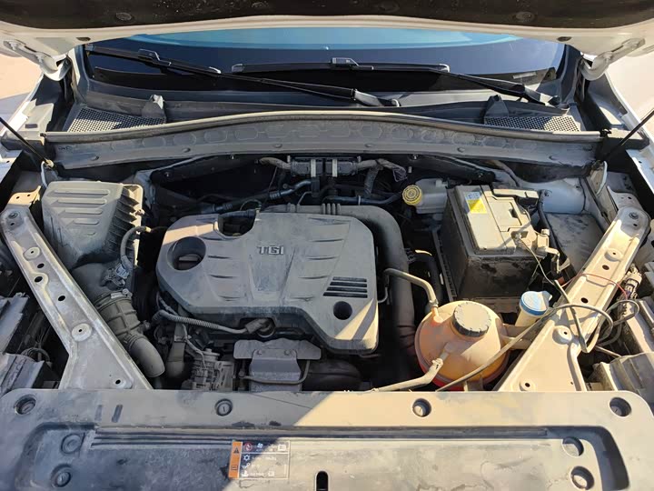 Фото 10 - Roewe RX5 Max