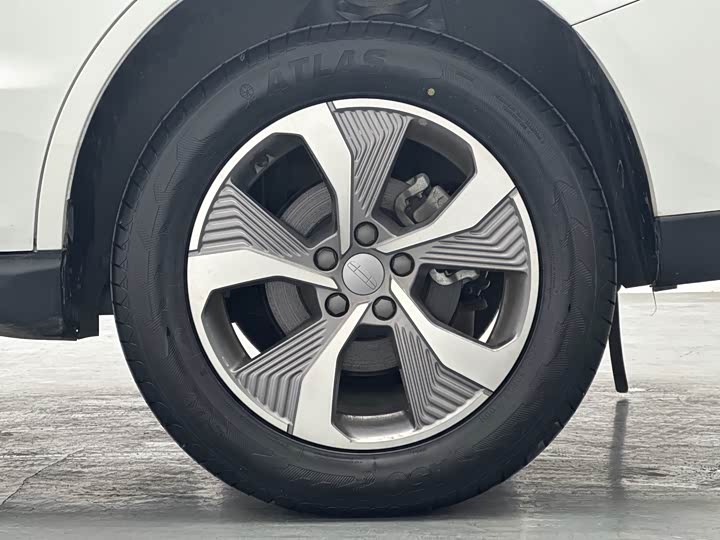 Фото 9 - Geely Okavango Pro