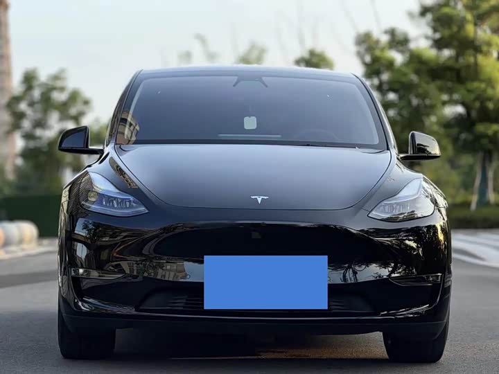 Фото 2 - Tesla Model Y