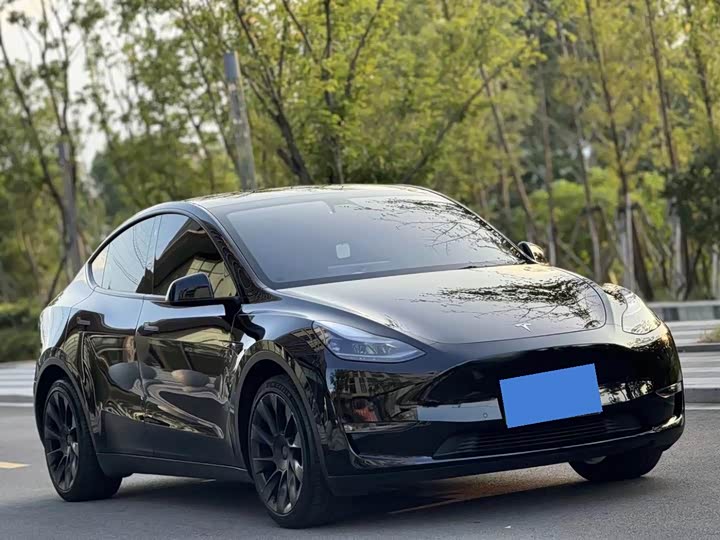 Фото 3 - Tesla Model Y