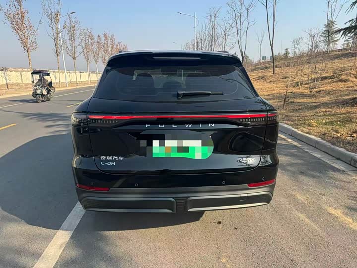 Фото 8 - Chery Fulwin T9