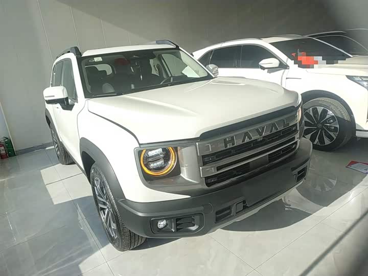 Фото 4 - Haval Dargo