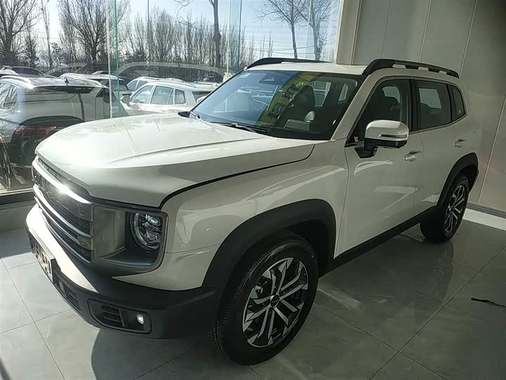 Фото 5 - Haval Dargo