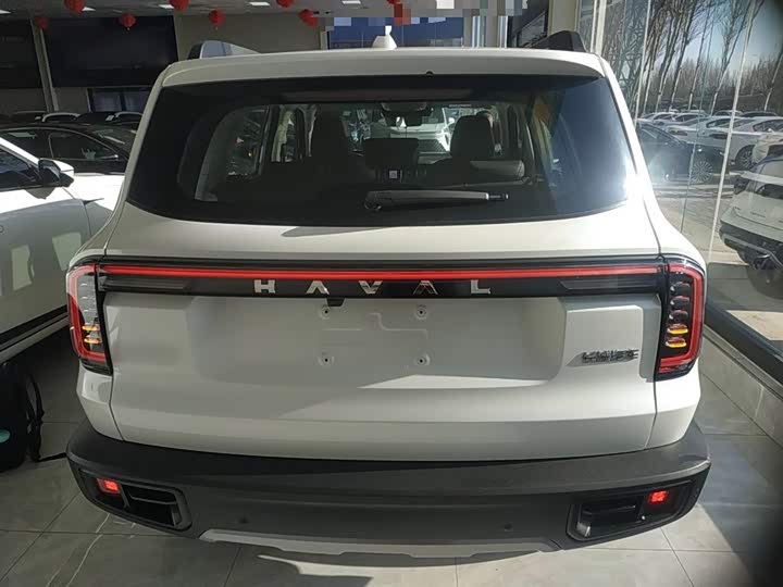 Фото 6 - Haval Dargo