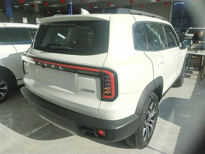 Фото 7 - Haval Dargo