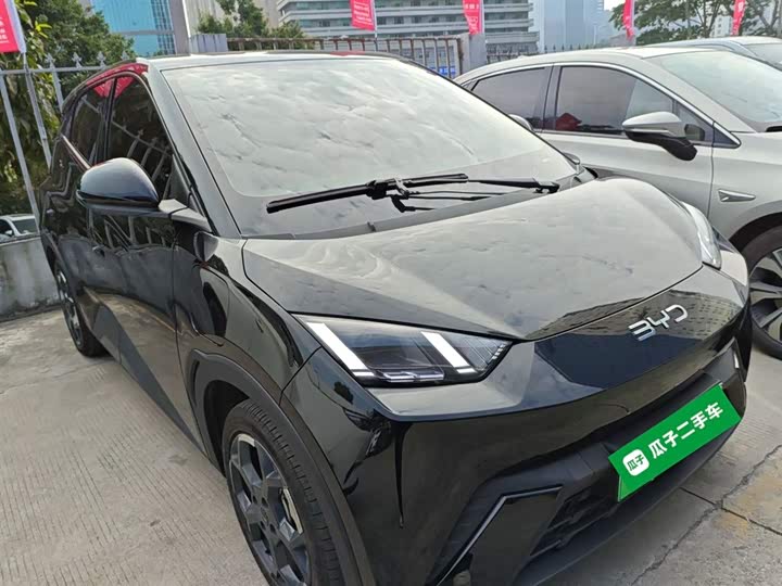 Фото 4 - BYD Seagull