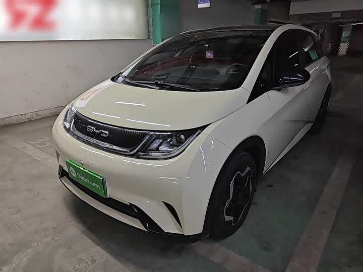 Фото 2 - BYD Dolphin