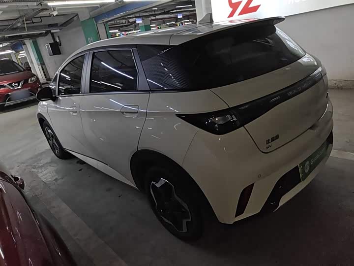 Фото 5 - BYD Dolphin