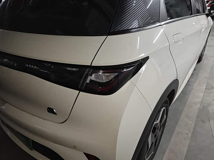 Фото 8 - BYD Dolphin