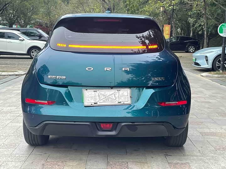 Фото 9 - Ora Good Cat (03)